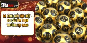 S666 MVP – Link Vào Trang Chủ Nhà Cái S666.COM Chính Thức 10/2026 - golden68.best