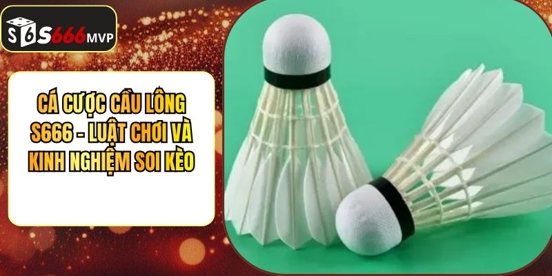 Cá Cược Cầu Lông S666 - Luật Chơi Và Kinh Nghiệm Soi Kèo - golden68.best