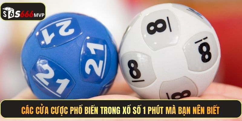 Xổ Số Nhanh 1 Phút - Kiếm Tiền Thần Tốc Mỗi Giây Tại S666 - golden68.best