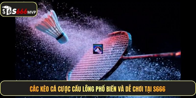 Cá Cược Cầu Lông S666 - Luật Chơi Và Kinh Nghiệm Soi Kèo - golden68.best