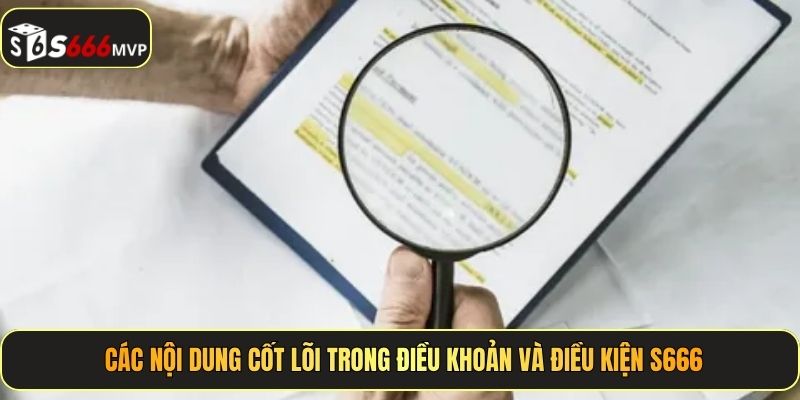 Điều Khoản Và Điều Kiện Tại Website S666 - Quy Định Hội Viên 2026 - golden68.best