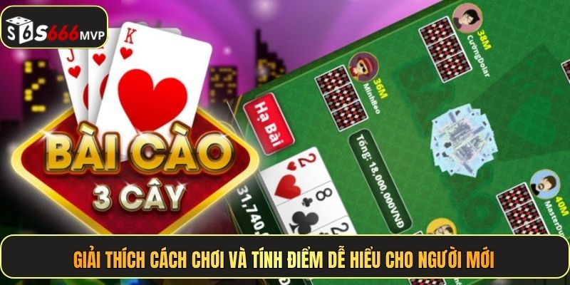 Bài Cào Rùa - Trò Giải Trí Đỏ Đen Cuốn Hút Nhất Tại S666 - golden68.best