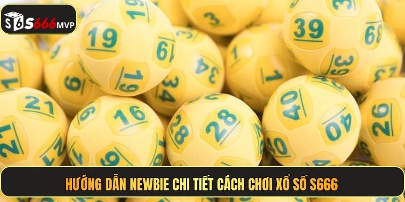 Xổ Số S666 - Sân Chơi Thử Vận May, Nhận Thưởng Cực Khủng - golden68.best