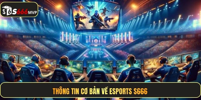 Esports S666 - Kèo Thơm Mỗi Ngày, Bùng Nổ Mọi Trận Đấu - golden68.best