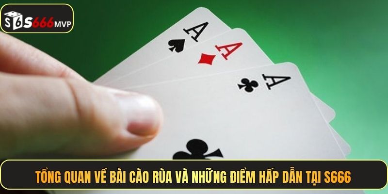 Bài Cào Rùa - Trò Giải Trí Đỏ Đen Cuốn Hút Nhất Tại S666 - golden68.best