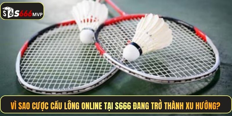 Cá Cược Cầu Lông S666 - Luật Chơi Và Kinh Nghiệm Soi Kèo - golden68.best